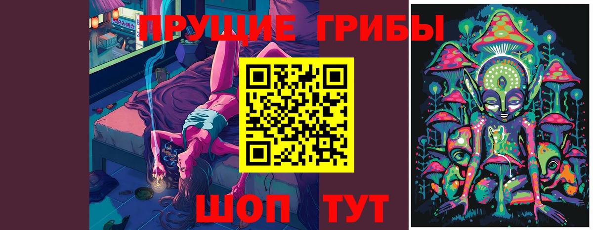 Галлюциногенные грибы Psilocybe  Вход с VPN  Псилоцибиновые грибы мухоморы  Электрогорск 