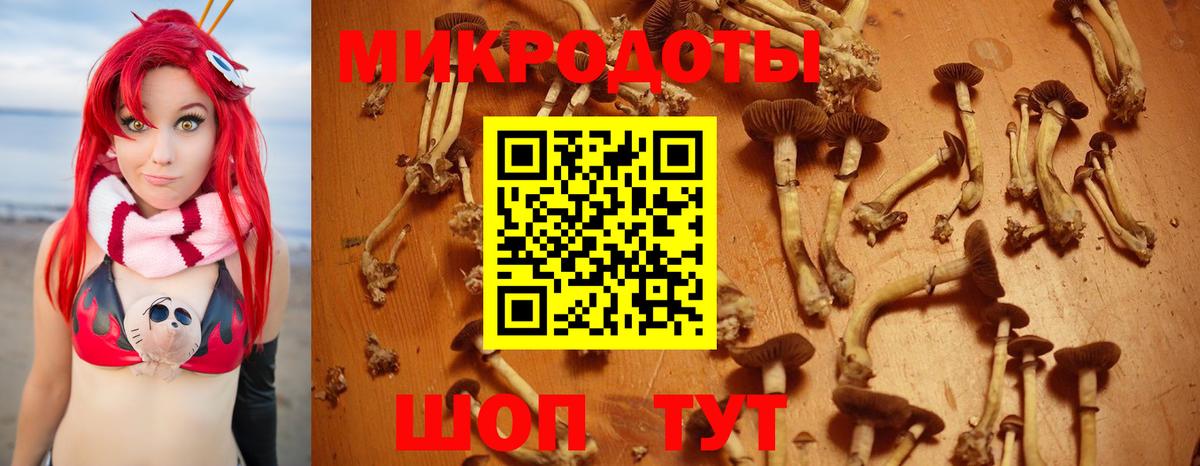 Галлюциногенные грибы прущие грибы Электрогорск